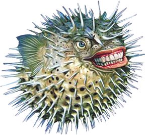 blowfish_normal.jpg