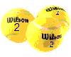 Wilson2