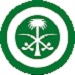 Roundel_of_Royal_Saudi.jpg