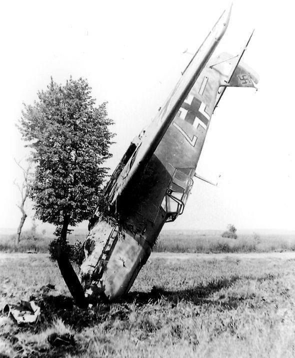 bf1009.jpg