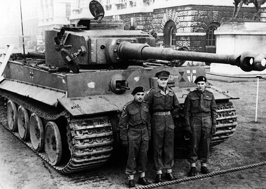 tiger 131.jpg