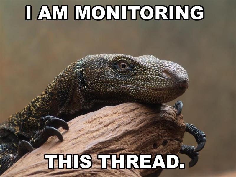 monitor.jpg