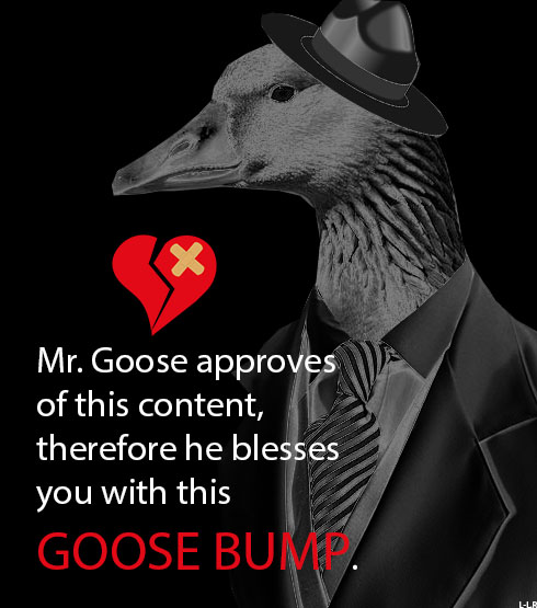 Mr.Goose approves.jpg
