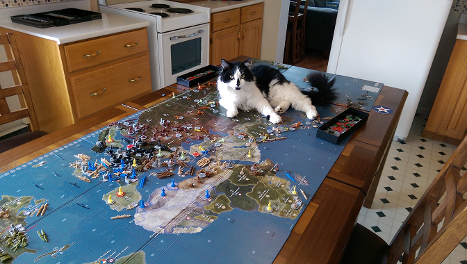 My cat playing axis & allies.png